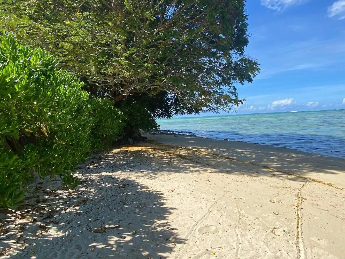 Moorea - Fare Tiki Beach Haapiti