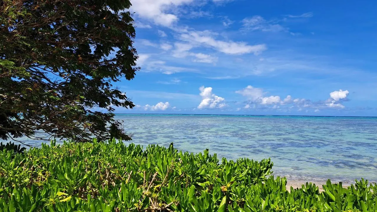 Moorea - Fare Tiki Beach Haapiti